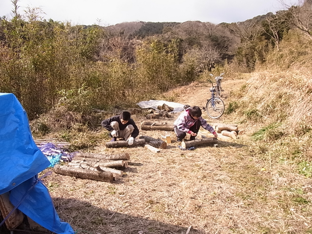 f:id:satoyamanoyume:20160210113539j:plain