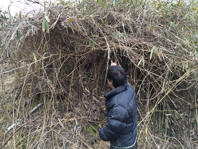 f:id:satsukitjp:20150311131837j:plain f:id:satsukitjp:20150311131837j:plain