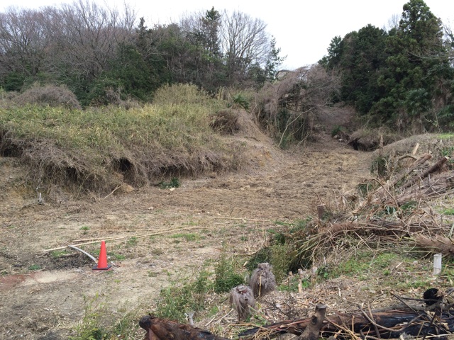 f:id:satsukitjp:20150311132018j:plain f:id:satsukitjp:20150311132018j:plain