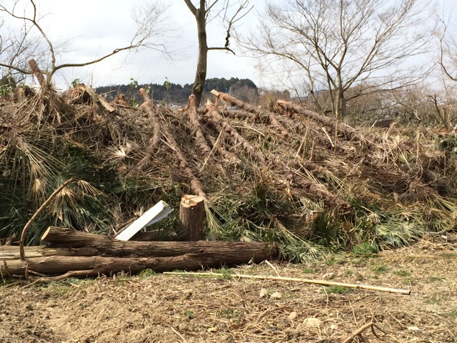 f:id:satsukitjp:20150311132032j:plain f:id:satsukitjp:20150311132032j:plain
