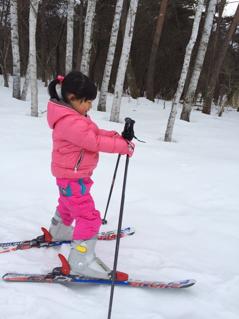 f:id:satsukitjp:20150314224812j:plain f:id:satsukitjp:20150314224812j:plain
