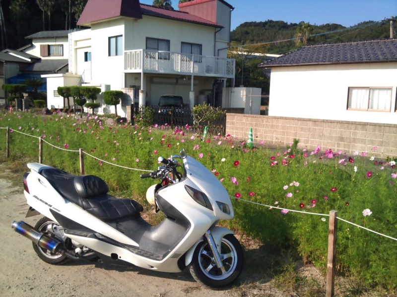 f:id:satts:20121104234239j:image f:id:satts:20121104234239j:image