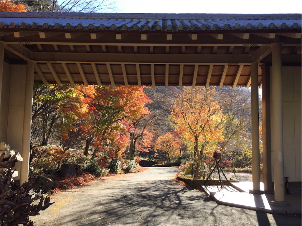 f:id:sawa_goto:20151117115930j:image f:id:sawa_goto:20151117115930j:image