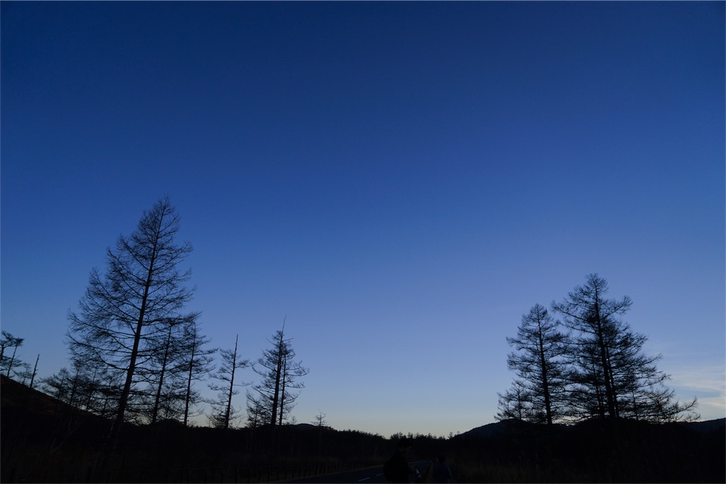 f:id:sawa_goto:20151117144243j:image f:id:sawa_goto:20151117144243j:image