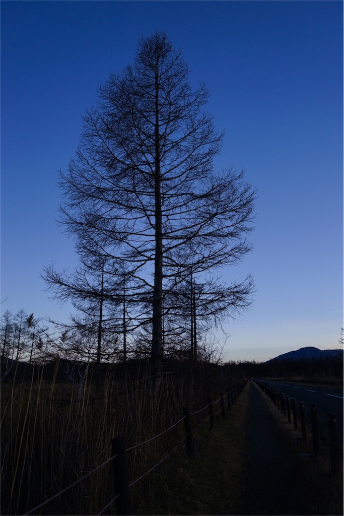 f:id:sawa_goto:20151117164510j:image f:id:sawa_goto:20151117164510j:image