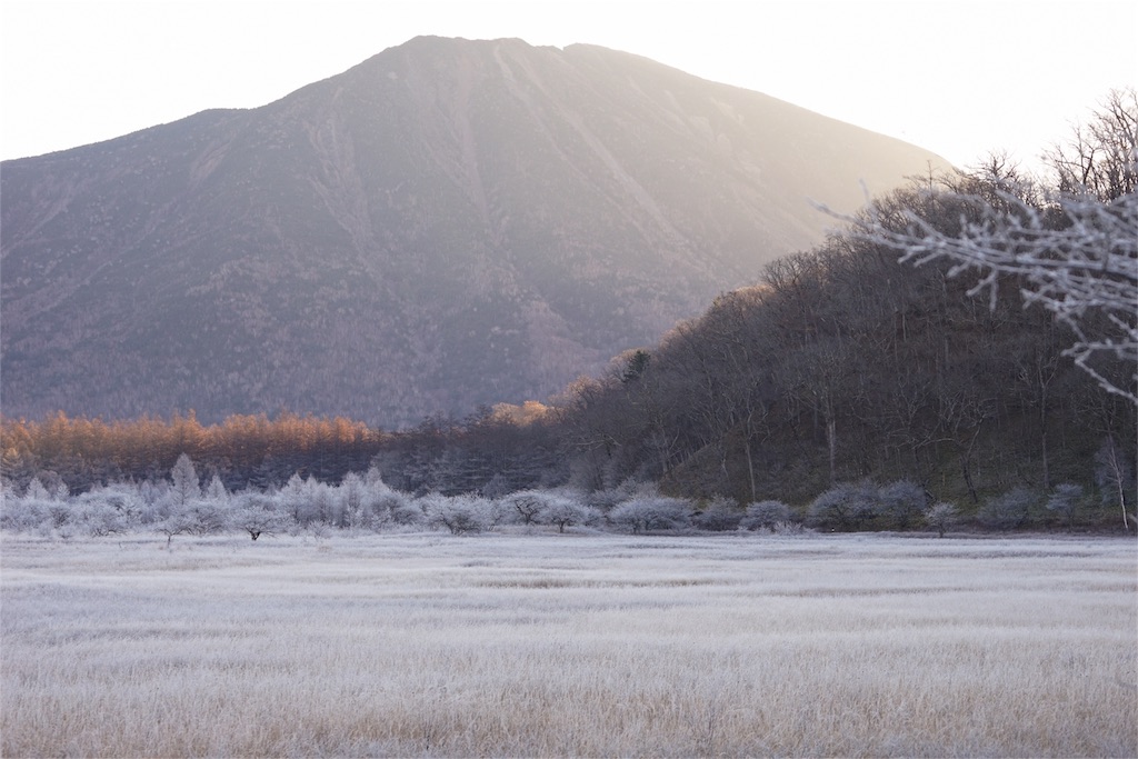 f:id:sawa_goto:20151118182748j:image f:id:sawa_goto:20151118182748j:image