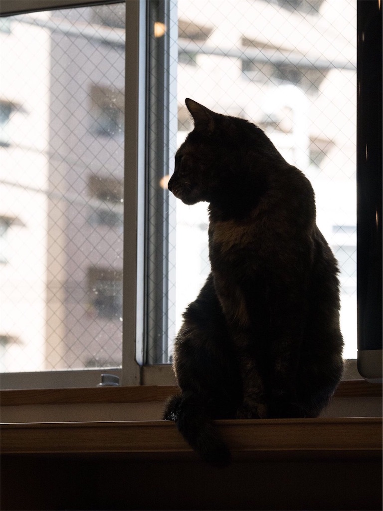 f:id:sawa_goto:20151224074435j:image f:id:sawa_goto:20151224074435j:image
