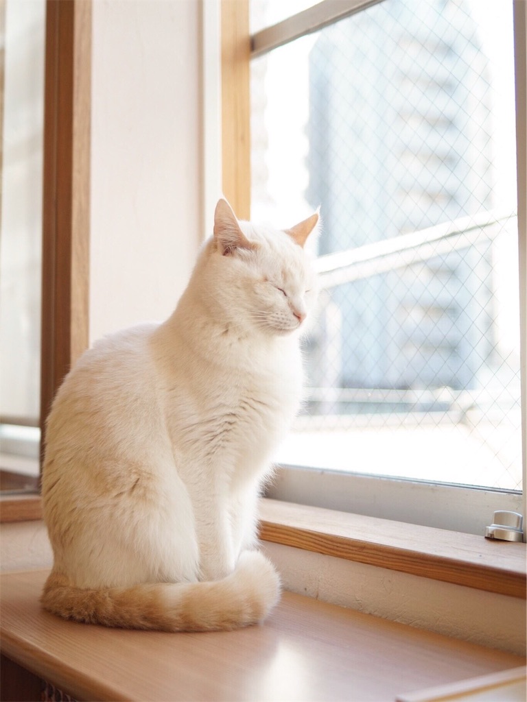 f:id:sawa_goto:20151224074453j:image f:id:sawa_goto:20151224074453j:image