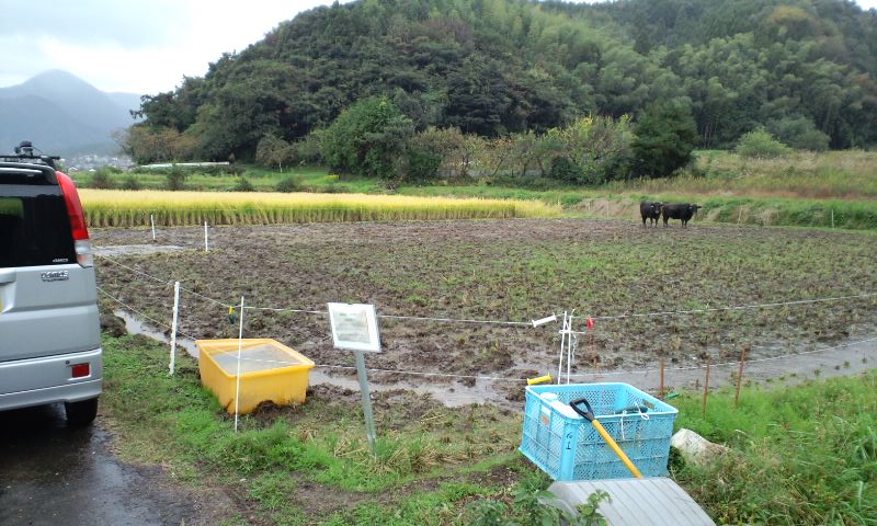 f:id:sawadake:20091103121740j:image f:id:sawadake:20091103121740j:image