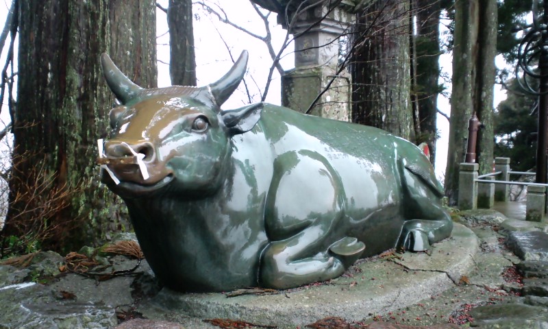 f:id:sawadake:20100210132729j:image f:id:sawadake:20100210132729j:image