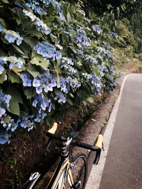 f:id:sawadake:20140622224119j:plain f:id:sawadake:20140622224119j:plain