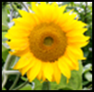 f:id:sawaruna91119:20120815223733p:image f:id:sawaruna91119:20120815223733p:image