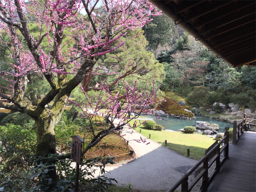 f:id:sawssaws-gs:20160410201956j:image f:id:sawssaws-gs:20160410201956j:image