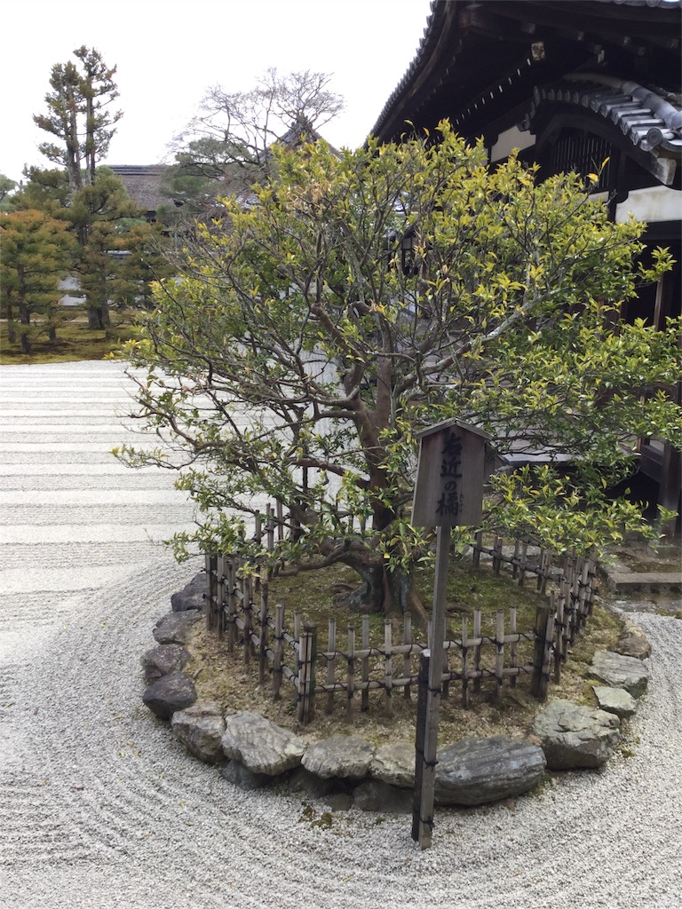 f:id:sawssaws-gs:20160501125529j:image f:id:sawssaws-gs:20160501125529j:image