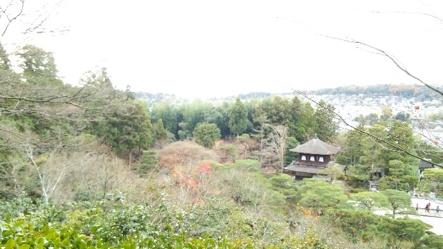 f:id:saxxxkr:20141208221928j:plain f:id:saxxxkr:20141208221928j:plain