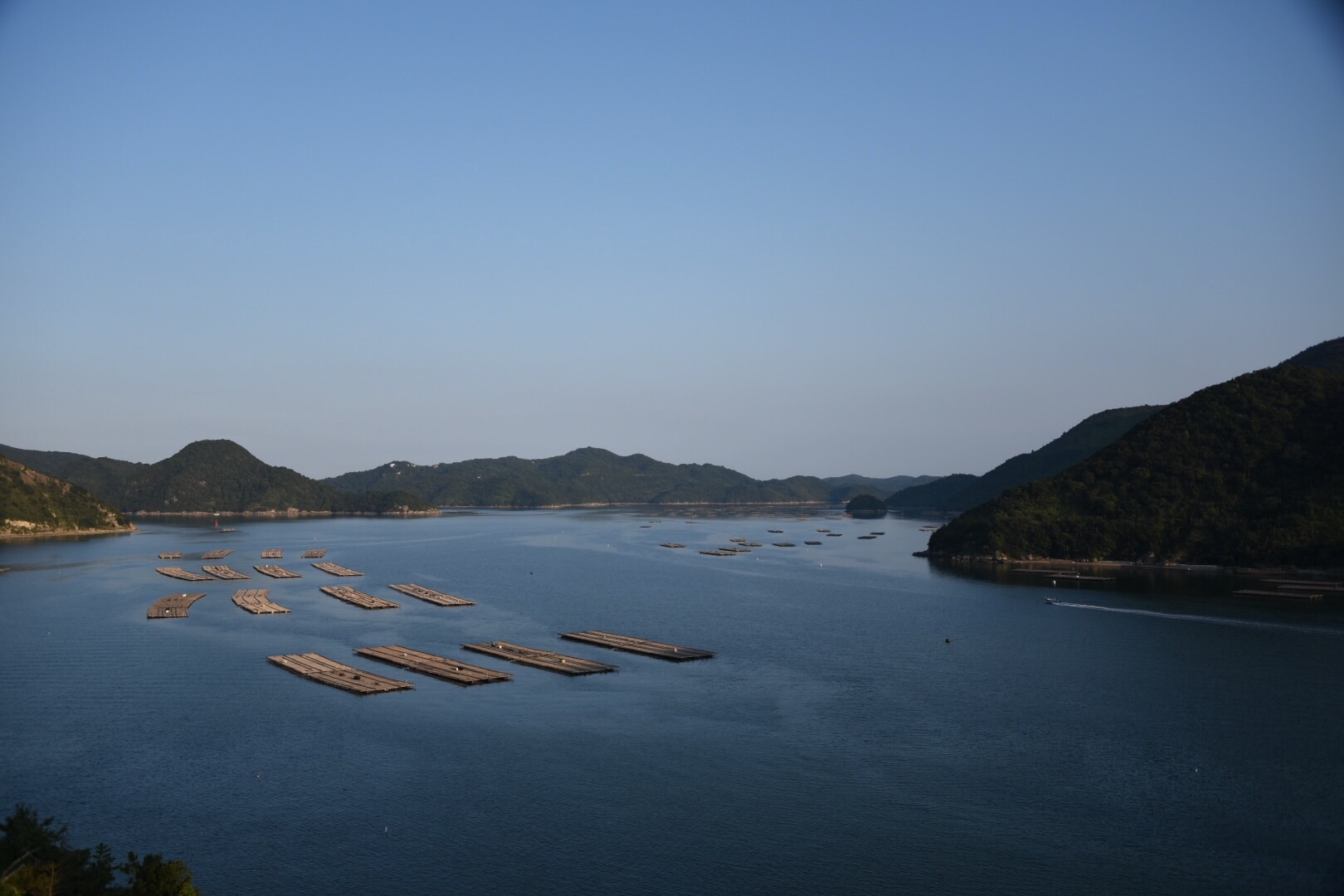 f:id:say0031mori:20150815202631j:image f:id:say0031mori:20150815202631j:image