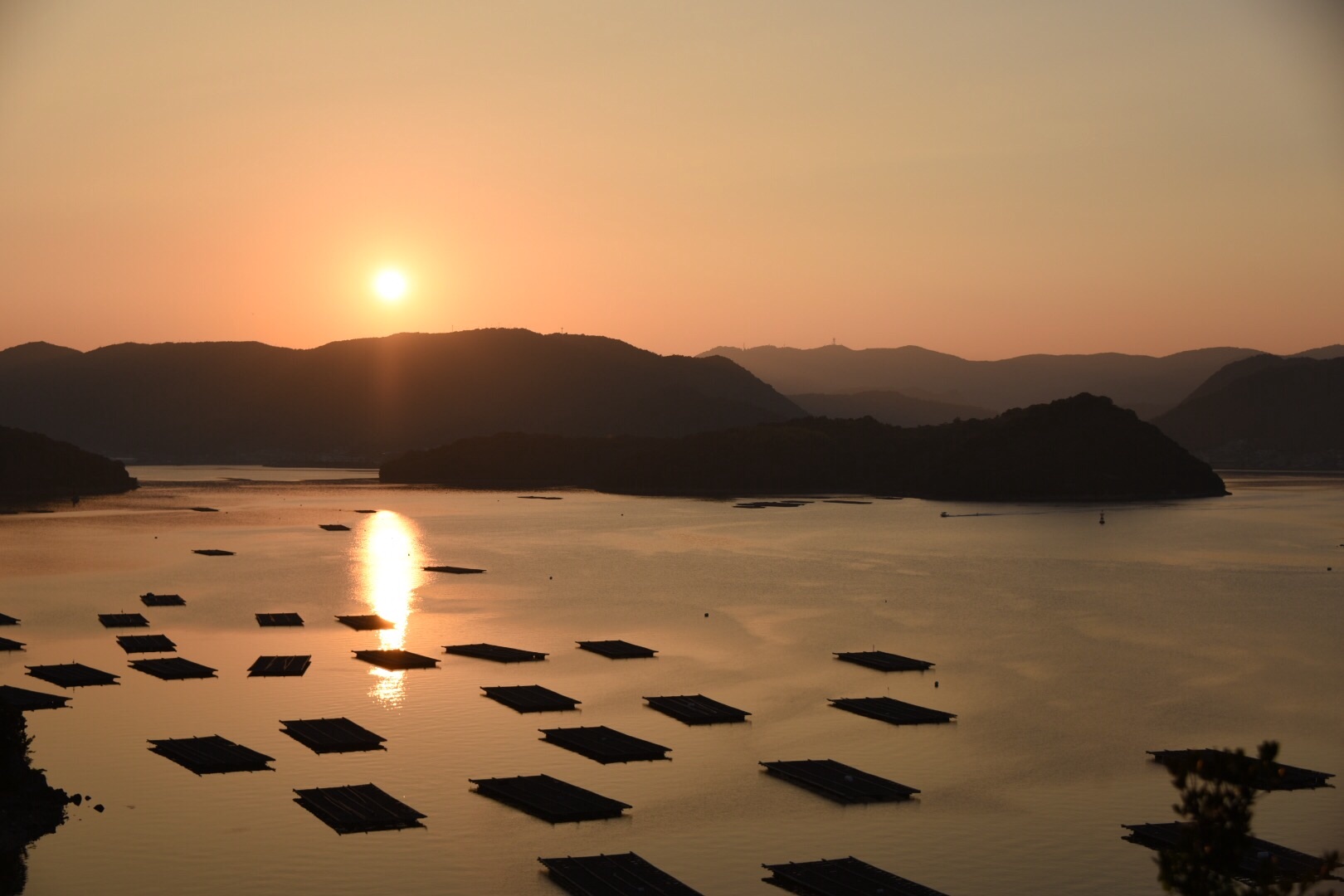 f:id:say0031mori:20150815203128j:image f:id:say0031mori:20150815203128j:image