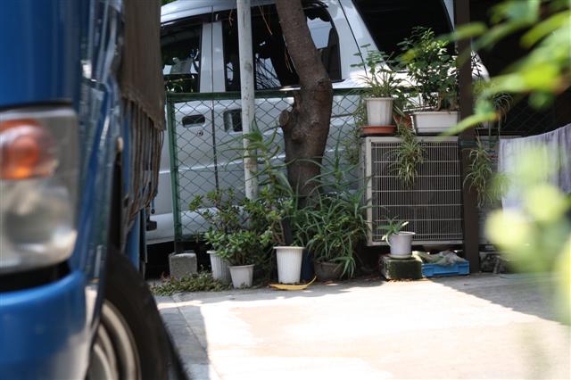 f:id:sayakaloe:20090620105014j:image:w400 f:id:sayakaloe:20090620105014j:image:w400