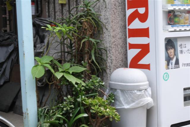 f:id:sayakaloe:20090620112203j:image:w640 f:id:sayakaloe:20090620112203j:image:w640