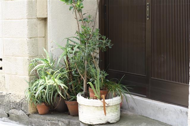 f:id:sayakaloe:20090620112825j:image:w640 f:id:sayakaloe:20090620112825j:image:w640