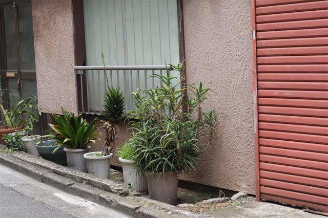 f:id:sayakaloe:20090620114718j:image:w640 f:id:sayakaloe:20090620114718j:image:w640