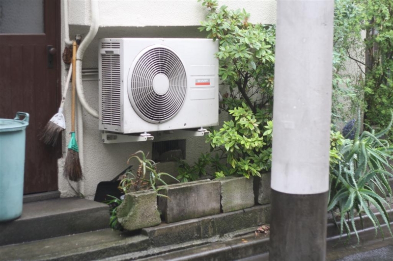 f:id:sayakaloe:20090621130728j:image:w400 f:id:sayakaloe:20090621130728j:image:w400