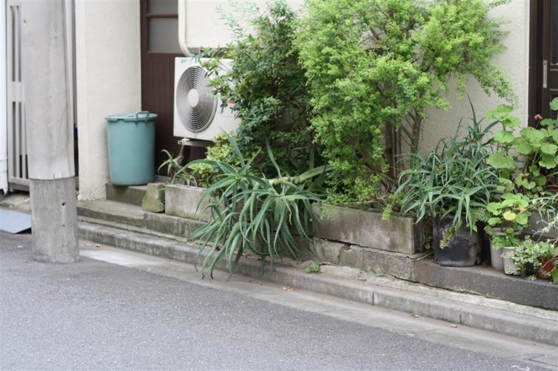 f:id:sayakaloe:20090627152646j:image:w400 f:id:sayakaloe:20090627152646j:image:w400