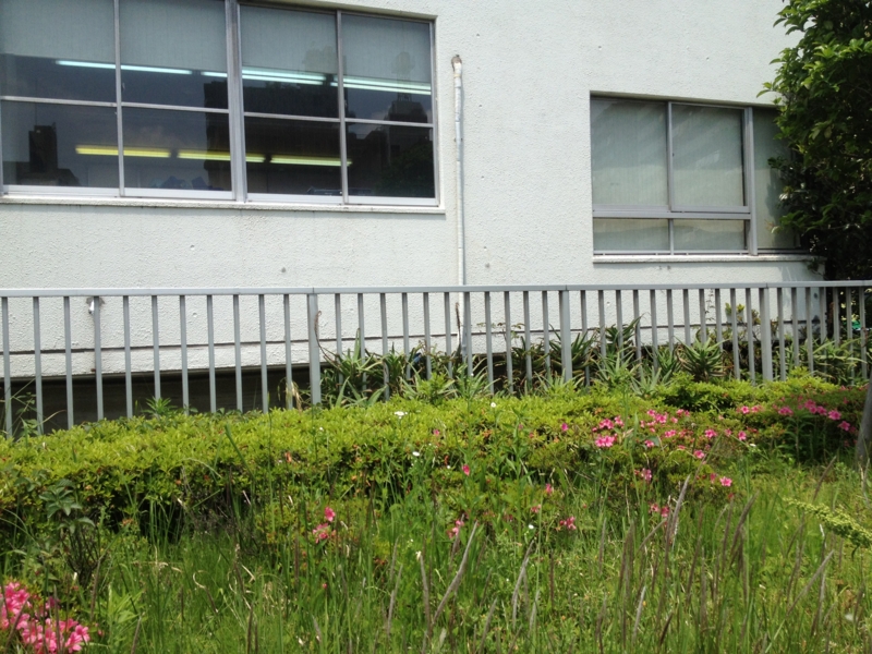 f:id:sayakaloe:20120526104257j:image:w400 f:id:sayakaloe:20120526104257j:image:w400