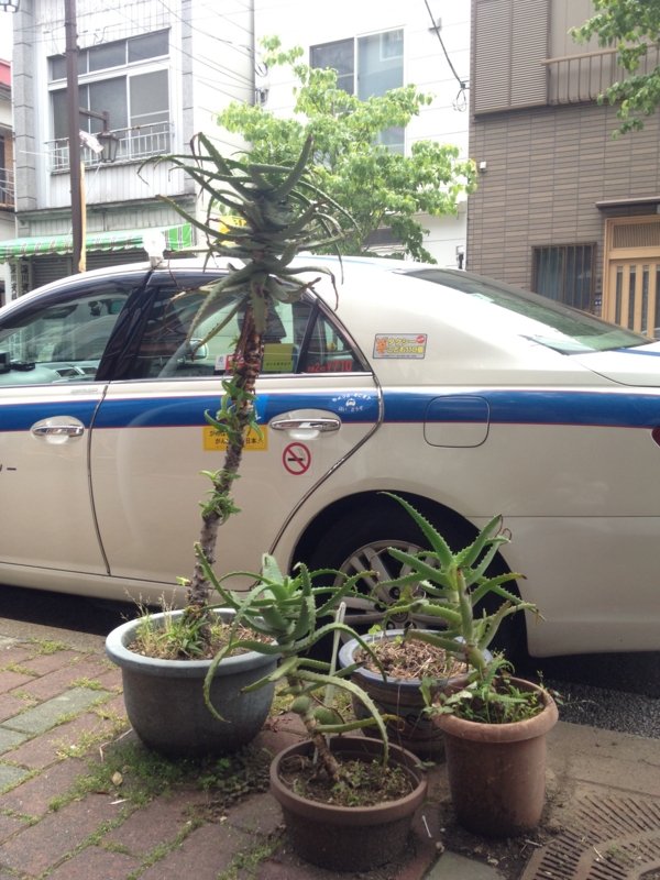 f:id:sayakaloe:20120526111934j:image:w250 f:id:sayakaloe:20120526111934j:image:w250