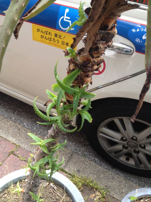 f:id:sayakaloe:20120526111940j:image:w250 f:id:sayakaloe:20120526111940j:image:w250