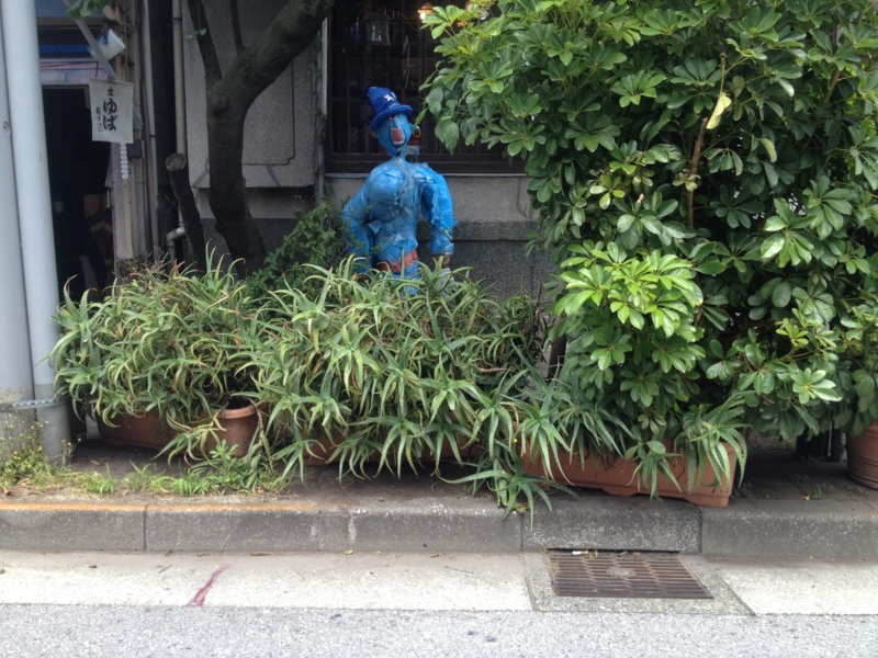 f:id:sayakaloe:20120526113743j:image:w400 f:id:sayakaloe:20120526113743j:image:w400