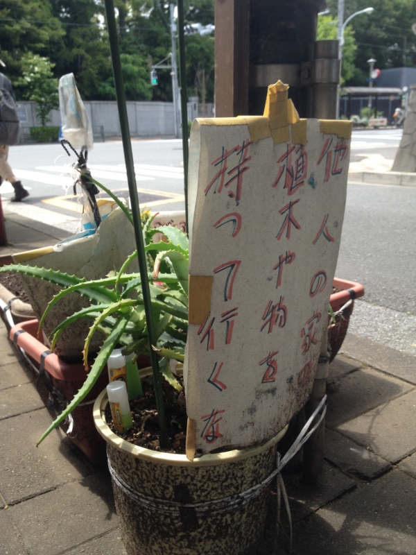 f:id:sayakaloe:20120526125638j:image:w250 f:id:sayakaloe:20120526125638j:image:w250