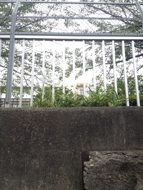 f:id:sayakaloe:20140809233044j:plain f:id:sayakaloe:20140809233044j:plain