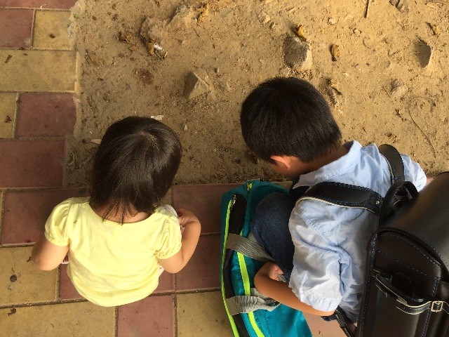 f:id:sayashiyashi:20150725220841j:image f:id:sayashiyashi:20150725220841j:image