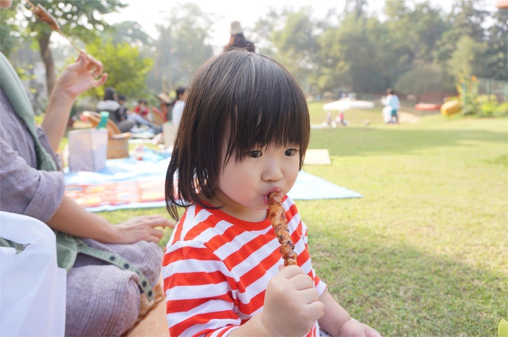 f:id:sayashiyashi:20151210012804j:image f:id:sayashiyashi:20151210012804j:image
