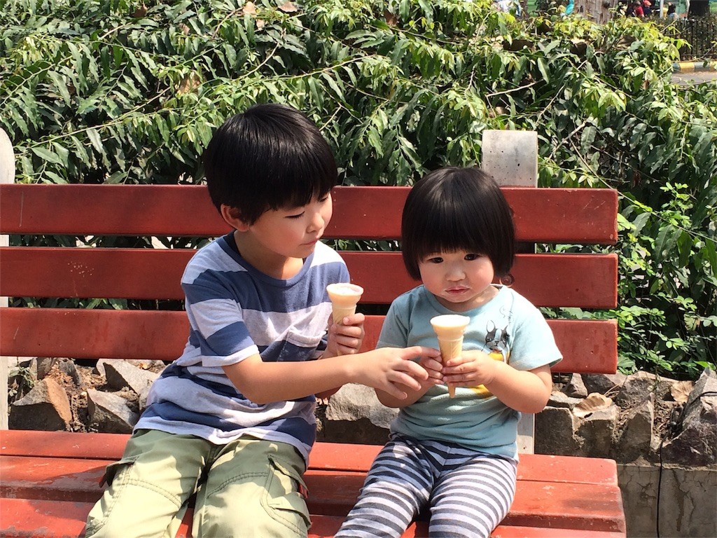 f:id:sayashiyashi:20160321175249j:image f:id:sayashiyashi:20160321175249j:image