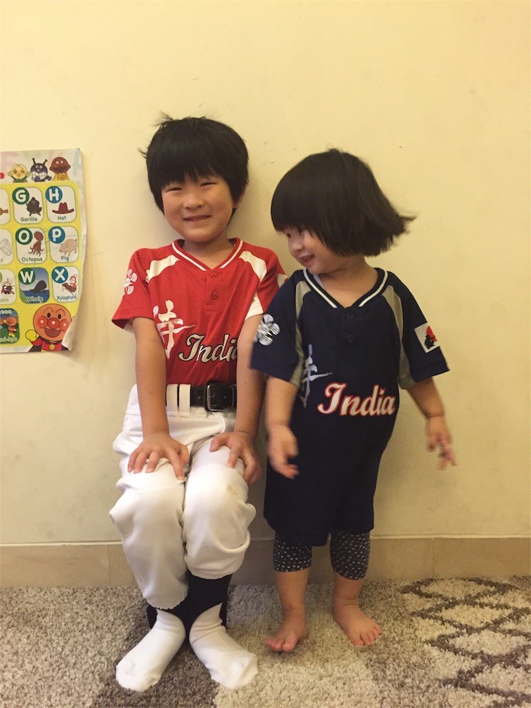 f:id:sayashiyashi:20160428174026j:image f:id:sayashiyashi:20160428174026j:image