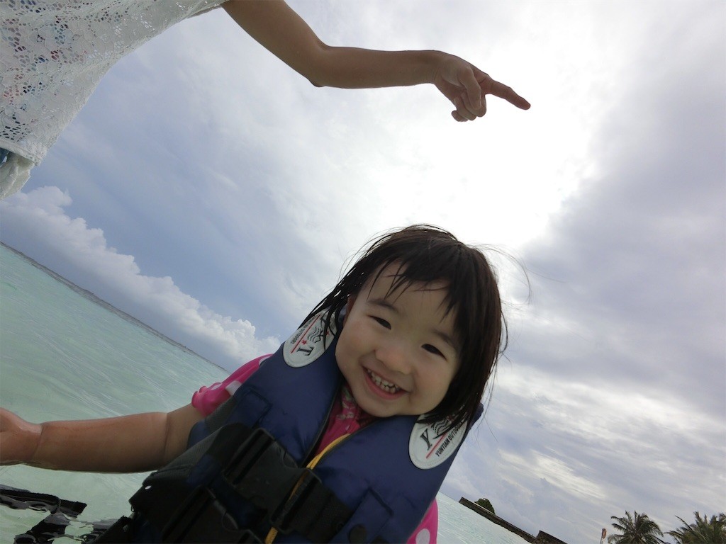 f:id:sayashiyashi:20160608003159j:image f:id:sayashiyashi:20160608003159j:image