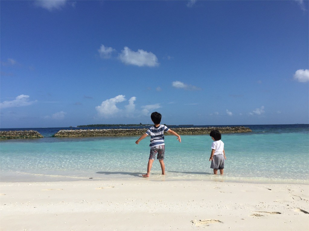 f:id:sayashiyashi:20160608003305j:image f:id:sayashiyashi:20160608003305j:image