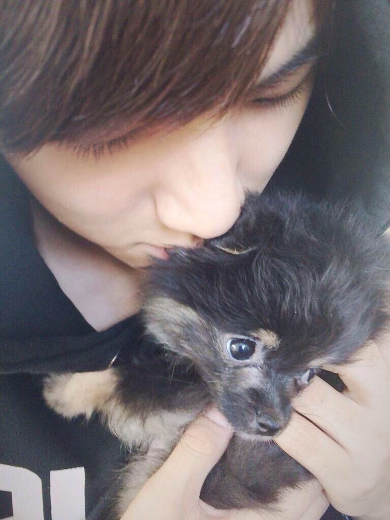 f:id:saythename17:20151209173111j:image f:id:saythename17:20151209173111j:image