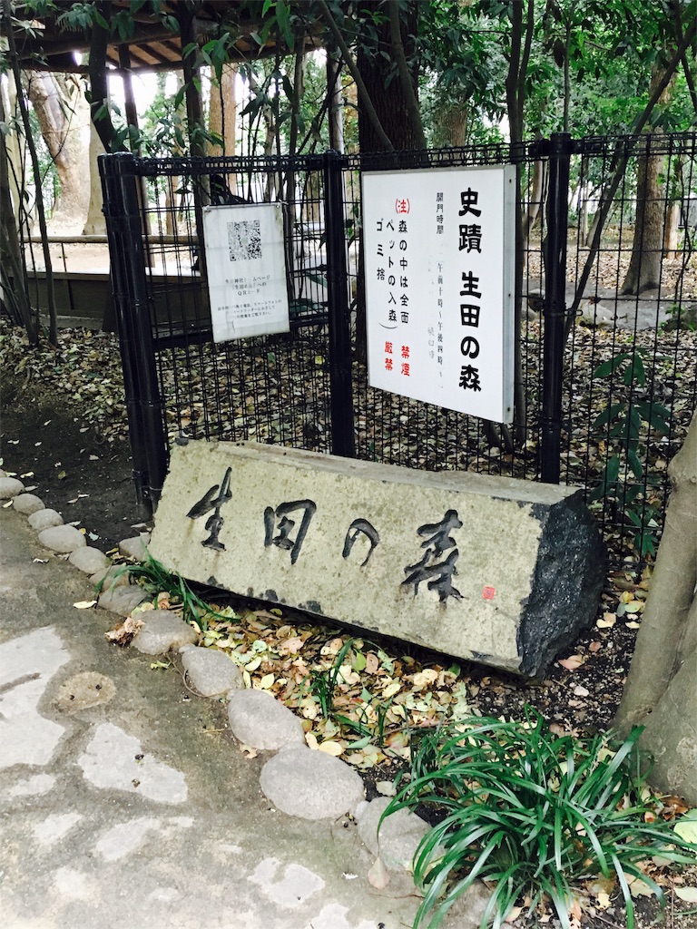 f:id:sayumayu0512:20151207210732j:image f:id:sayumayu0512:20151207210732j:image