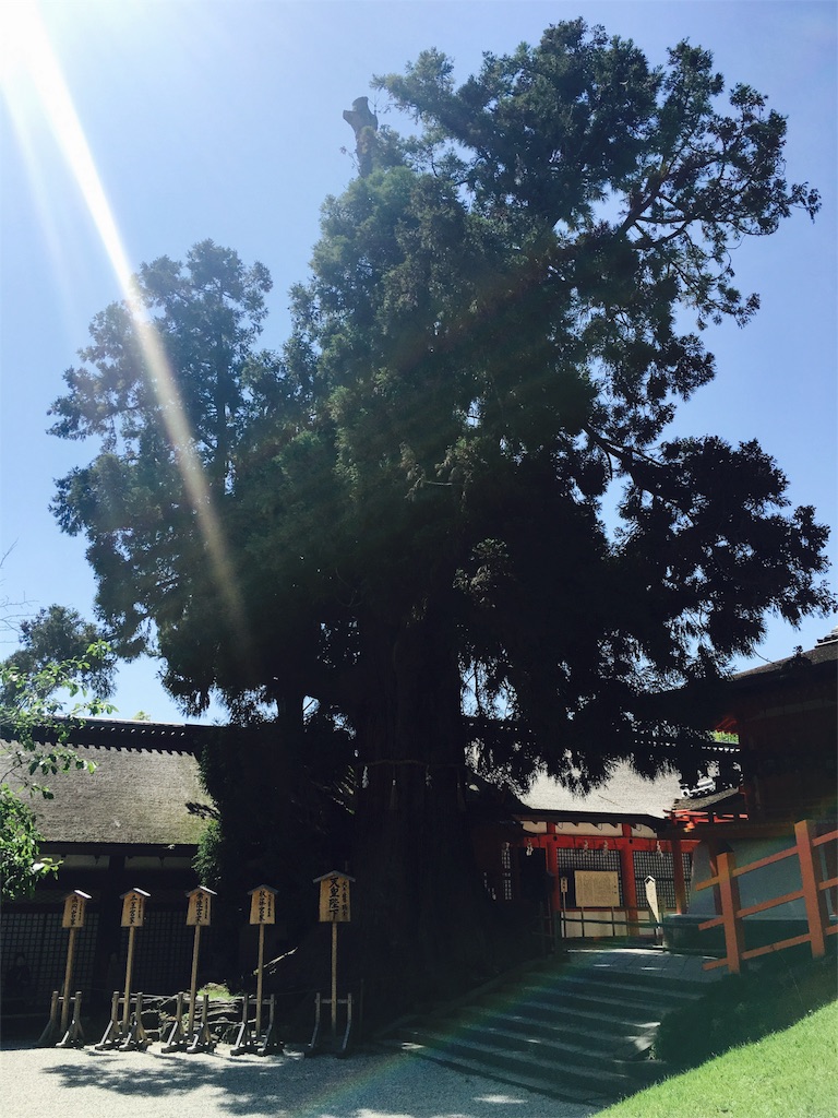 f:id:sayumayu0512:20160513130639j:image f:id:sayumayu0512:20160513130639j:image