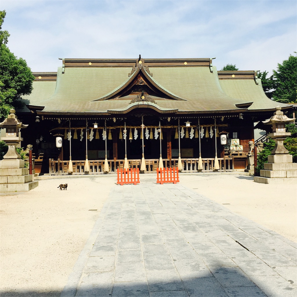 f:id:sayumayu0512:20160529141747j:image f:id:sayumayu0512:20160529141747j:image