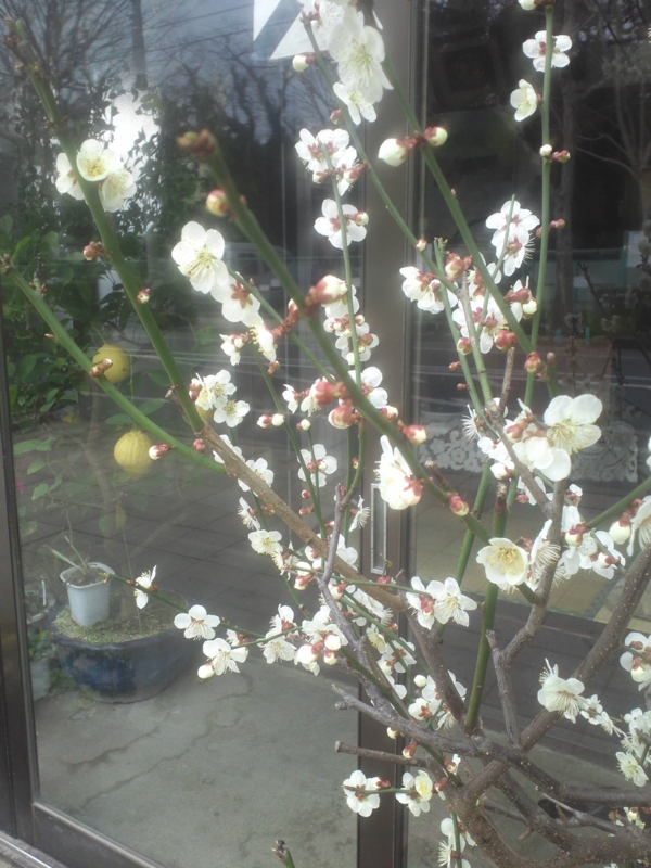 f:id:sayuming:20130324143732j:plain f:id:sayuming:20130324143732j:plain