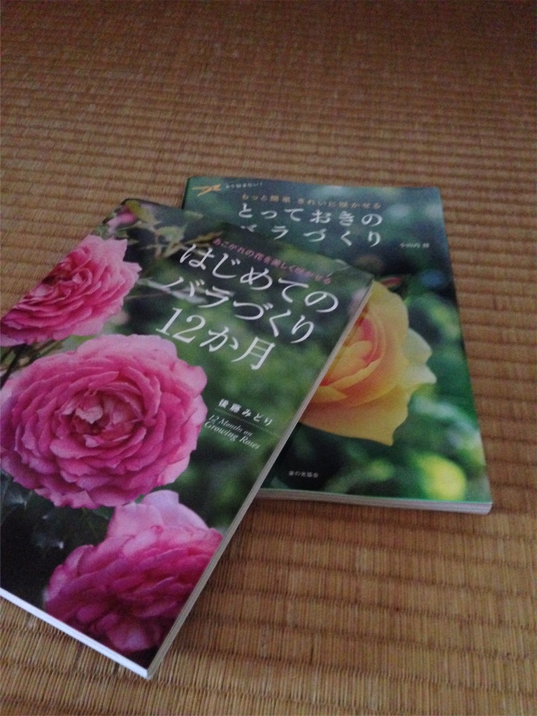 f:id:sazenn5:20160325145159j:image f:id:sazenn5:20160325145159j:image
