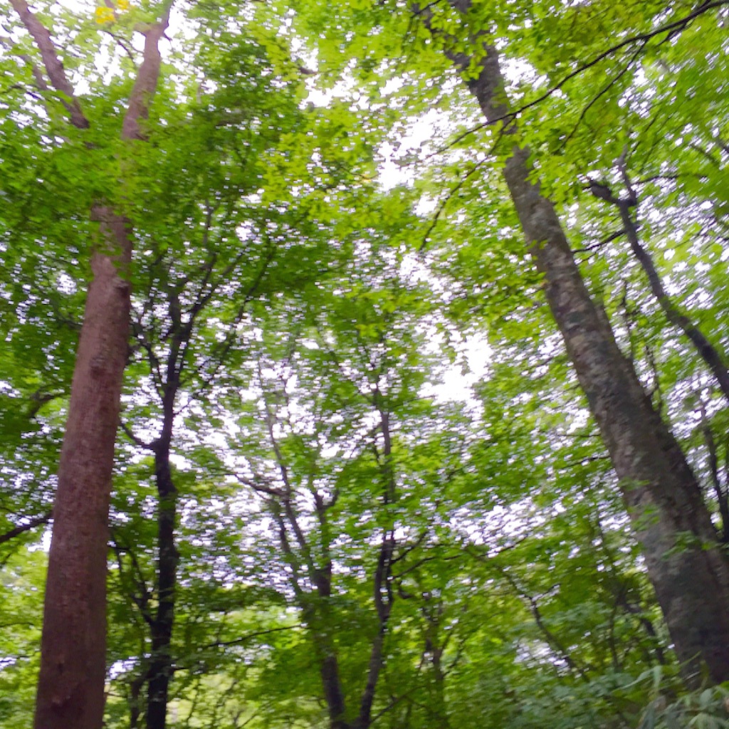 f:id:sbtimon:20150831154423j:image f:id:sbtimon:20150831154423j:image