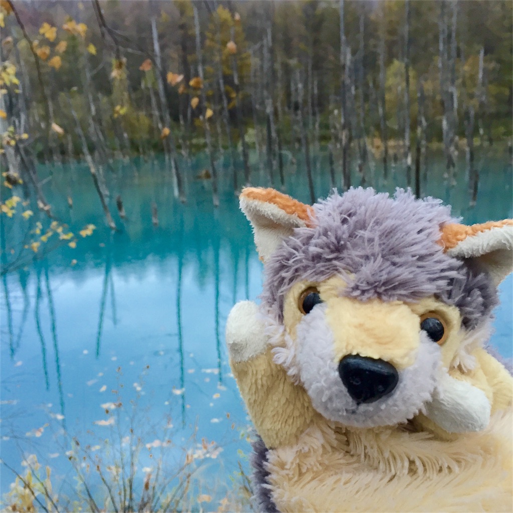 f:id:sbtimon:20151018203832j:image f:id:sbtimon:20151018203832j:image