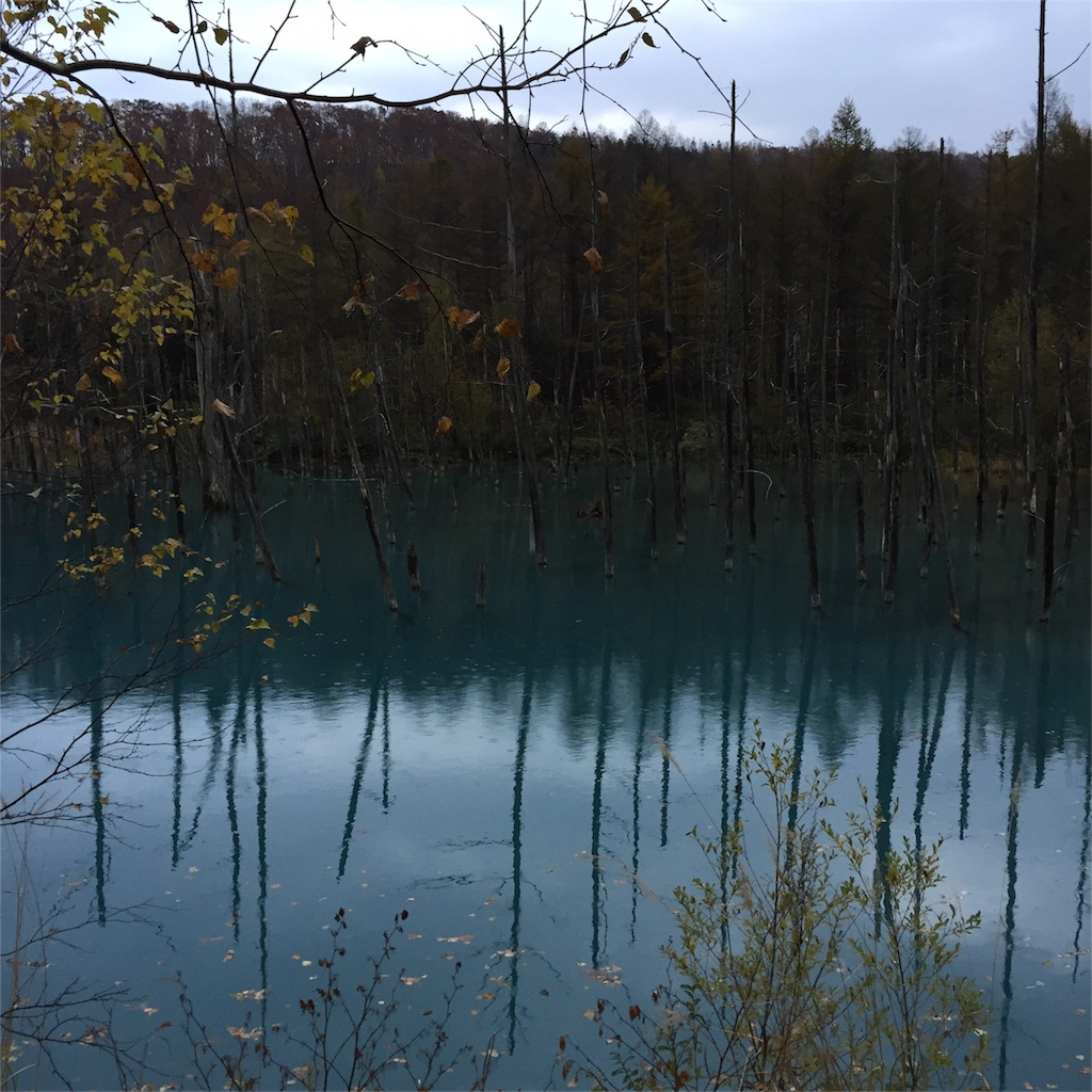 f:id:sbtimon:20151018223742j:image f:id:sbtimon:20151018223742j:image