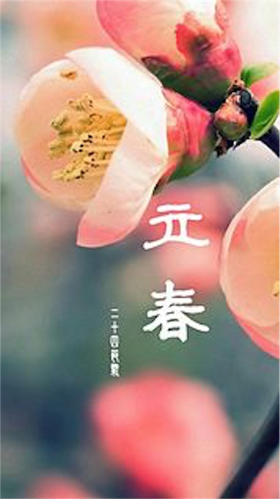 f:id:schazzie:20160204163930j:image f:id:schazzie:20160204163930j:image
