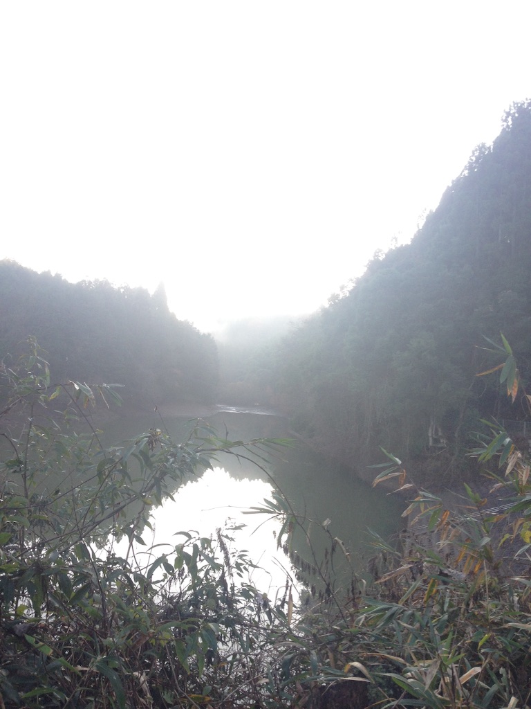 f:id:schilf:20151214161520j:image f:id:schilf:20151214161520j:image